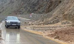 Bitlis ve Van Arasındaki Yolda Çamur ve Taş Temizliği Yapıldı