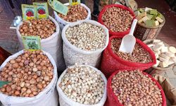 Van’da "Bedar" soğanı tohumları tezgahlardaki yerini aldı