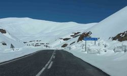 Van’da Bahçesaray Yolunda Çığ Riski Nedeniyle Çalışmalar Durduruldu