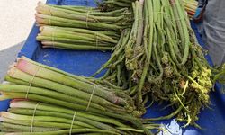 Van’da uçkunlar tezgâhlarda: Fiyatı ile dikkat çekiyor