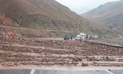 Van–Hakkâri karayolu heyelan nedeniyle ulaşıma kapatıldı