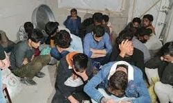 Van'da 20 Düzensiz Göçmen ve 1 Organizatör Yakalandı