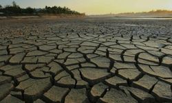 Erdem Güngör: ‘Yanlış Su Politikaları Gürpınar’ı Çölpınar’a Çevirecek’