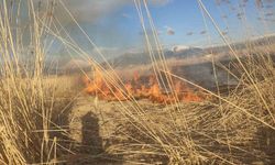 Van’ın Muradiye ilçesinde yangın