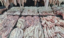 Van’da sakatat fiyatları cep yakıyor: Esnaf da vatandaş da zorlanıyor