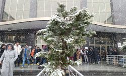 Van’da Bahar Beklenirken Kış Geri Döndü