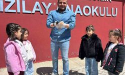 Van'daki  Anaokulunda Doğum Yapan Kedi, 6 Yavrusuyla Okulun Neşesi Oldu