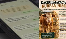 Ucuz kurbanlık tuzağına karşı uyarı