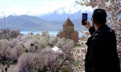 Van’da Badem Çiçeği Festivali Heyecanı: Etkinlik alanında önemli değişiklik