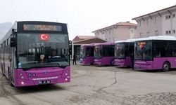 Van’da yarın ulaşım ücretsiz mi?