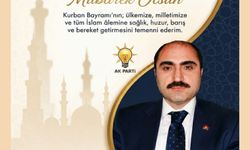 soğanda
