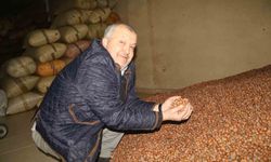 Kurban Bayramı öncesi fındık piyasasında düşüş