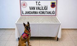 Van’da İranlı şahısların midesinden 3 kilo 374 gram esrar çıkarıldı