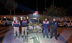 Van’da 630 kilo inci kefali ele geçirildi