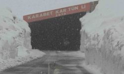 Van’da bahar ortasında kış geri geldi: Yüksek kesimler beyaza büründü!