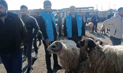Van’da din görevlileri vatandaşı bilgilendirdi