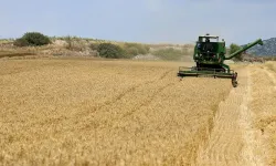 Çiftçinin Gözü Kulağı TMO’da: 2026 Hububat Taban Fiyatları İçin Geri Sayım Başladı