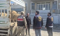 Gevaş’ta çalınan kurbanlıkları jandarma buldu