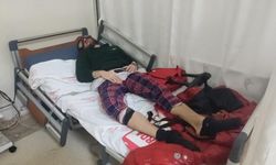 Yılan Otu Denemesi Hastanede Bitti