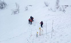 Artvin’de 122 gündür haber alınamayan çoban için ekipler yeniden sahada