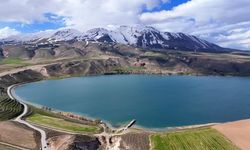 Bitlis’in Saklı Cenneti: Güzeldere Vadisi’nde Bahar Şöleni