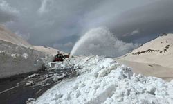 Van-Bahçesaray Yolunda Kar Mücadelesi