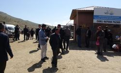 Van’da Canlı Hayvan Pazarında Kanlı Kavga: 1 Ölü, 13 Yaralı