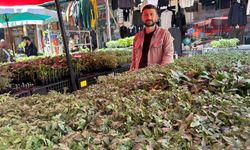 Van’da bahar hareketliliği