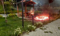 Van’da sokak magandaları parkları yakıyor