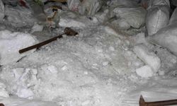 Uzmanından tuzla ilgili önemli uyarı
