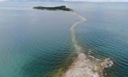 Çarpanak Adası İçin Kritik Uyarı!
