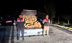 Van’da 800 kilo kaçak balık ele geçirildi