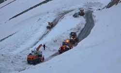 Bahçesaray yolunun bugün açılması planlanıyor