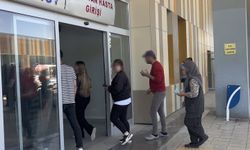 Van’da acemi kasaplar hastanelik oldu