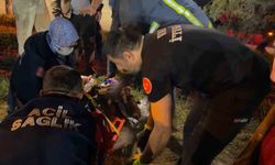 Van’da kaza: 8 yaralı
