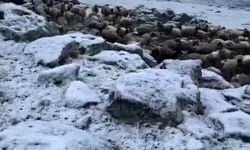 Kars’a kış geri döndü, eksi 5 derecede kar sürprizi
