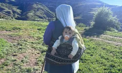 Şavakların yayla mücadelesi