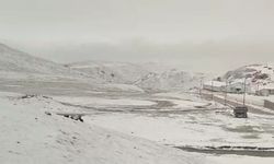 Gürpınar'da Mayıs'ta lapa lapa kar yağdı