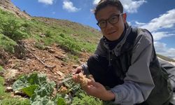 Yüksekova, Yabancı Turistlerin Yeni Doğa Rotası Oluyor