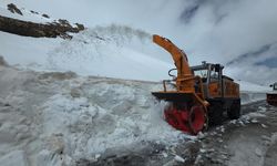 Van-Bahçesaray Yolu 5 Ay Sonra Ulaşıma Açılıyor
