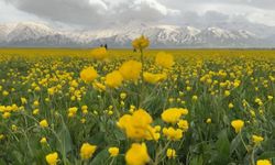 Hakkari'de iki mevsim bir arada yaşanıyor