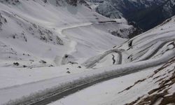 Van-Bahçesaray yolu yeniden ulaşıma açıldı