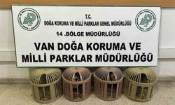 Van'da 4 Kınalı Keklikle Yakalanan Şahsa 51 Bin 878 TL Ceza