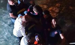 Van’da kamyonet dereye düştü: Sürücü yaralandı