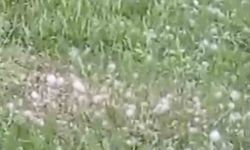 Van’da Gökyüzü Delindi: Ceviz Büyüklüğünde Dolu Yağdı!