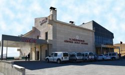 Gürpınar Devlet Hastanesi 60 Personel Alacak! İUP Başvuruları Başladı