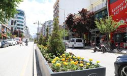 Van’da caddeler çiçek açtı