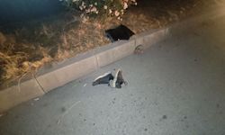 Kızını YKS’ye götürürken feci kazada hayatını kaybetti