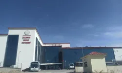 Çaldıran Devlet Hastanesi 70 Personel Alacak! İUP Başvuruları Başladı