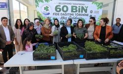 Gürpınar Belediyesi’nden üreticiye destek: 60 bin fide dağıtıldı